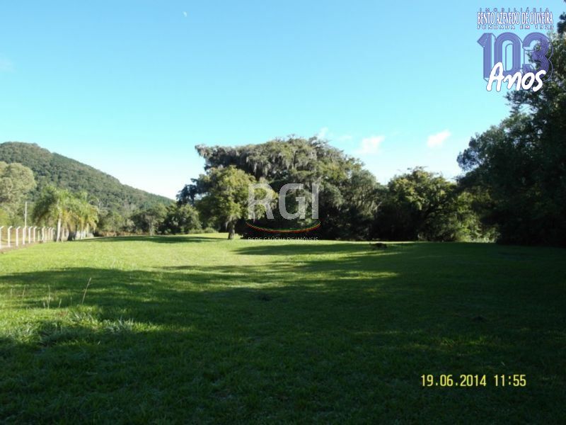 Terreno, 4 hectares - Foto 4