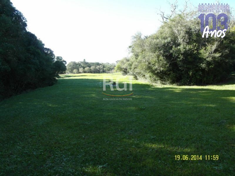 Terreno, 4 hectares - Foto 6