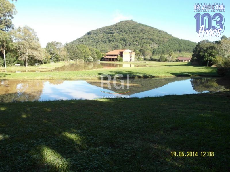 Terreno, 4 hectares - Foto 10