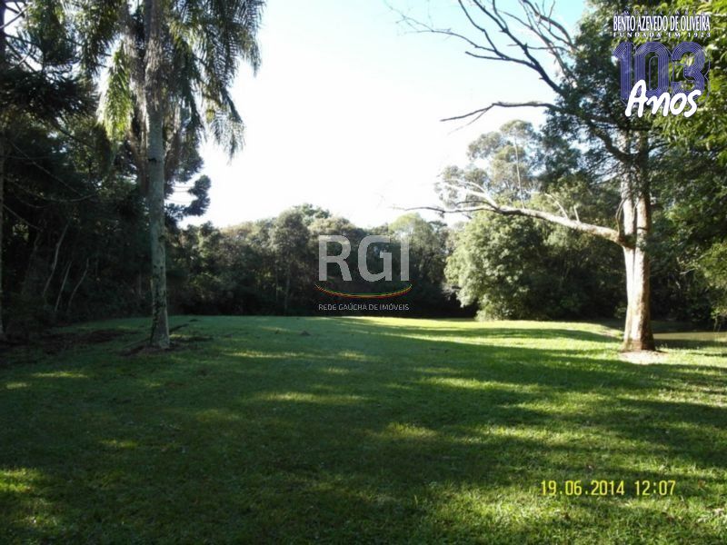 Terreno, 4 hectares - Foto 12