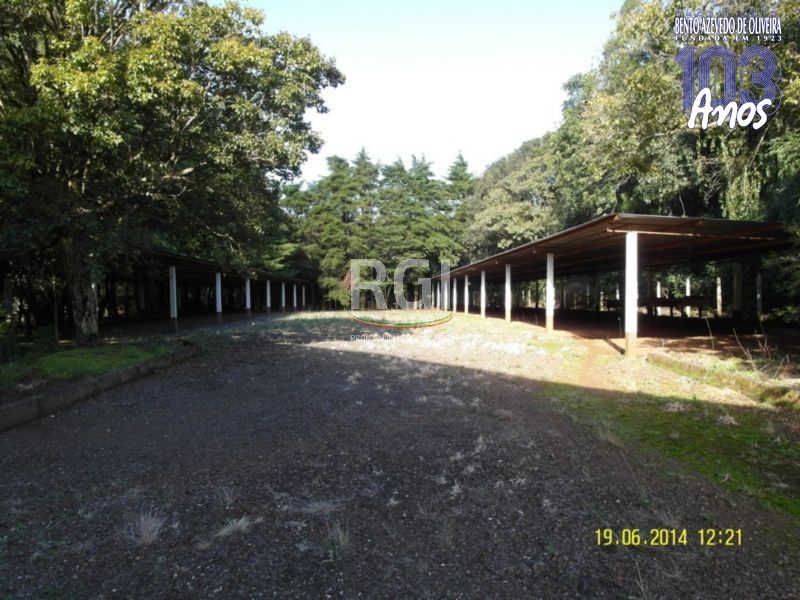 Terreno, 4 hectares - Foto 25