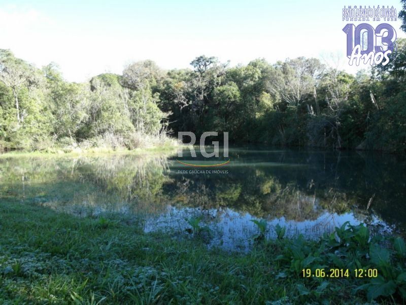 Terreno, 4 hectares - Foto 15