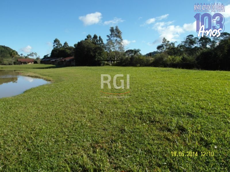 Terreno, 4 hectares - Foto 18