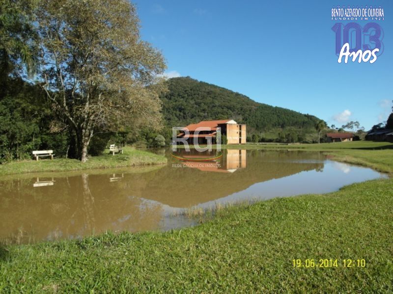 Terreno, 4 hectares - Foto 19