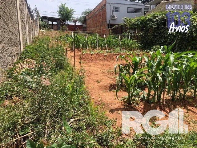 Terreno, 379 m² - Foto 4