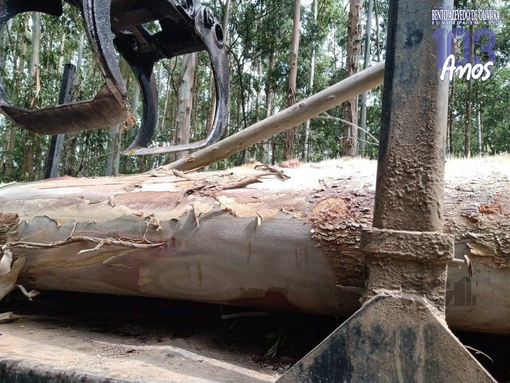 Fazenda, 42 hectares - Foto 11