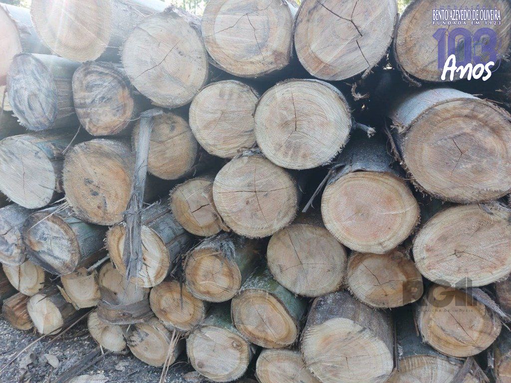 Fazenda, 42 hectares - Foto 12