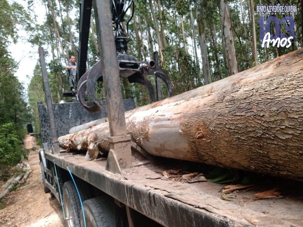 Fazenda, 42 hectares - Foto 63