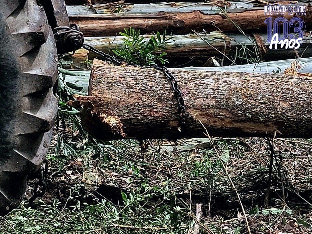 Fazenda, 42 hectares - Foto 8