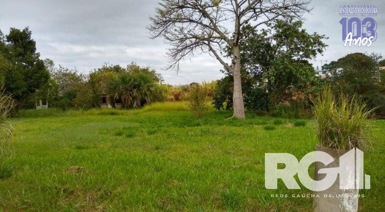 Terreno, 1 hectares - Foto 6
