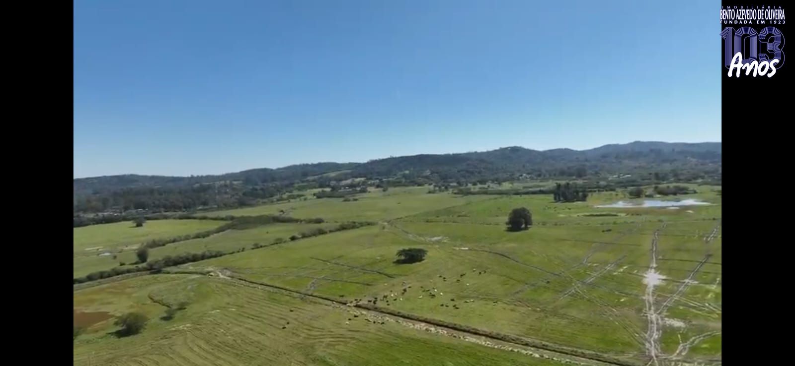 Chácara, 3 hectares - Foto 3