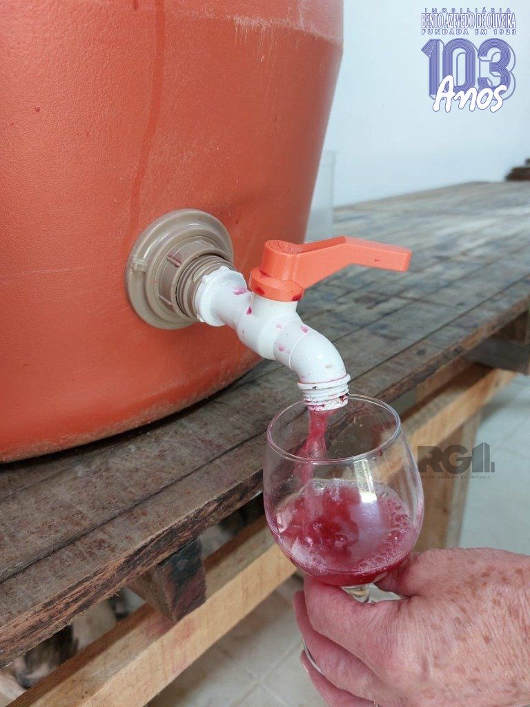 Fazenda, 42 hectares - Foto 22