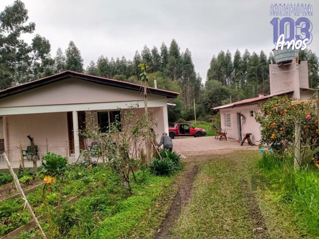 Fazenda, 42 hectares - Foto 45