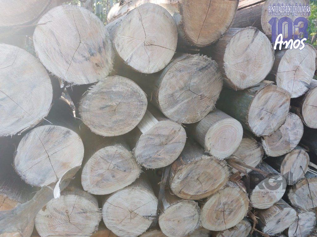 Fazenda, 42 hectares - Foto 41
