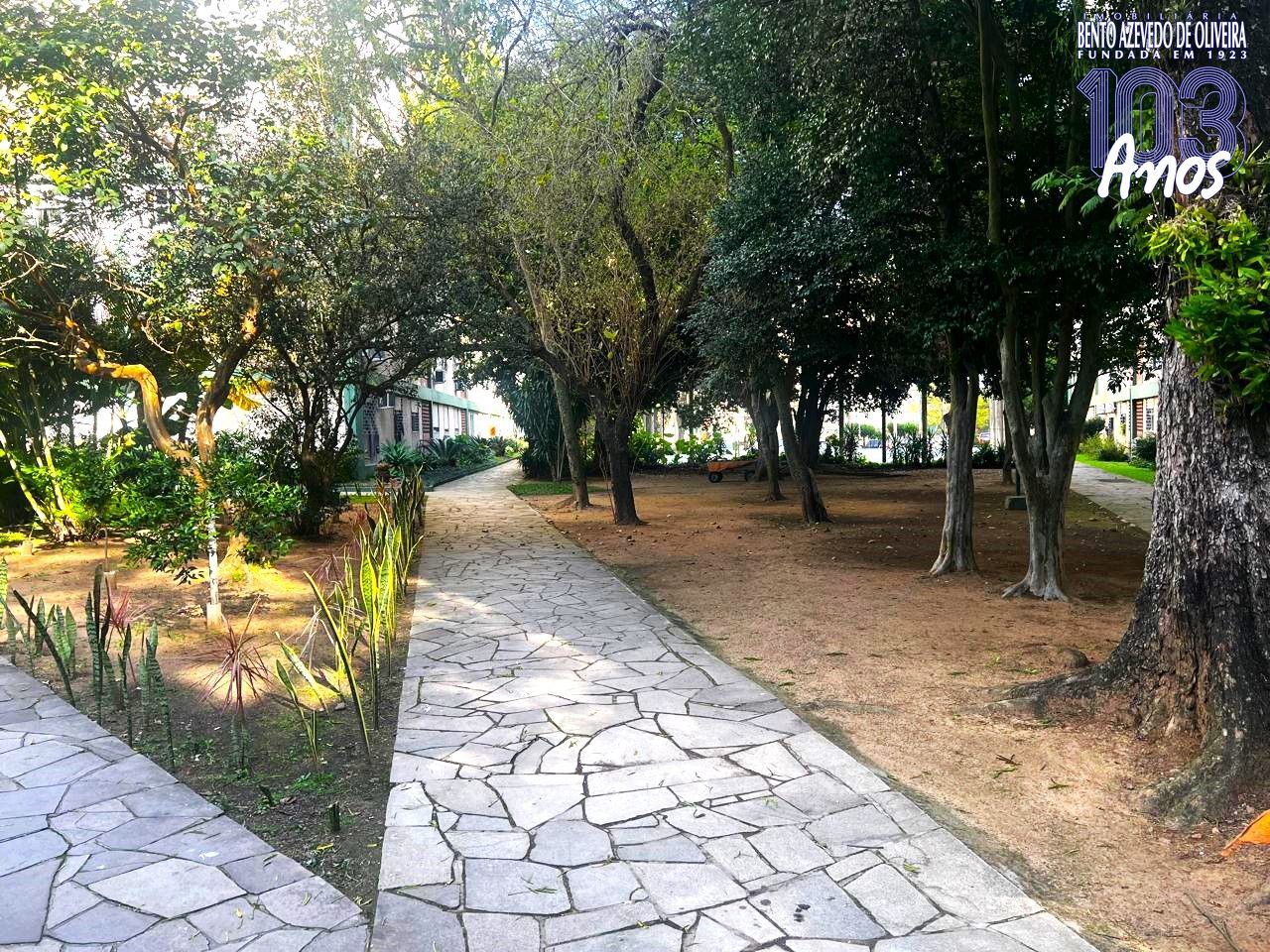 Vista