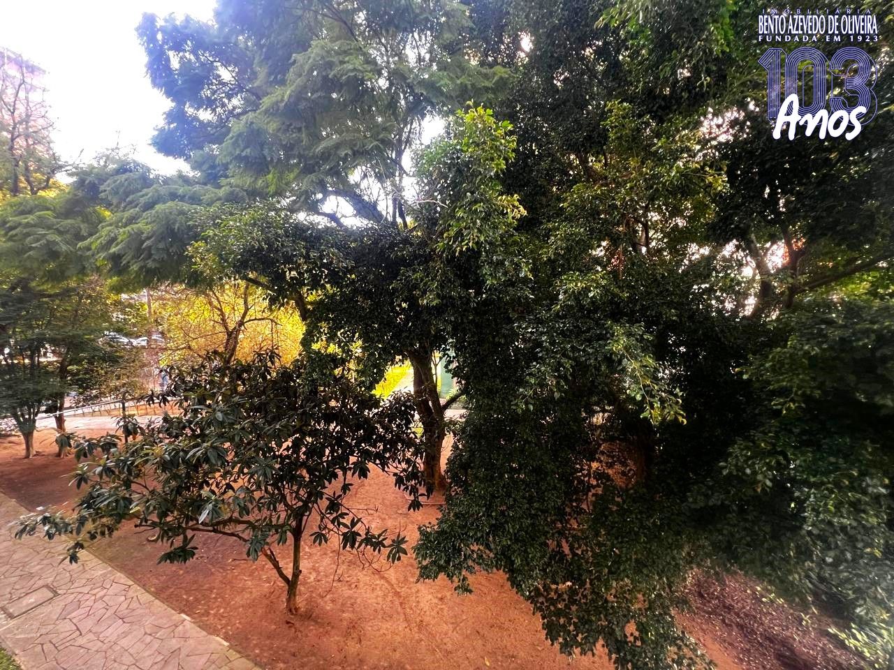 Viata