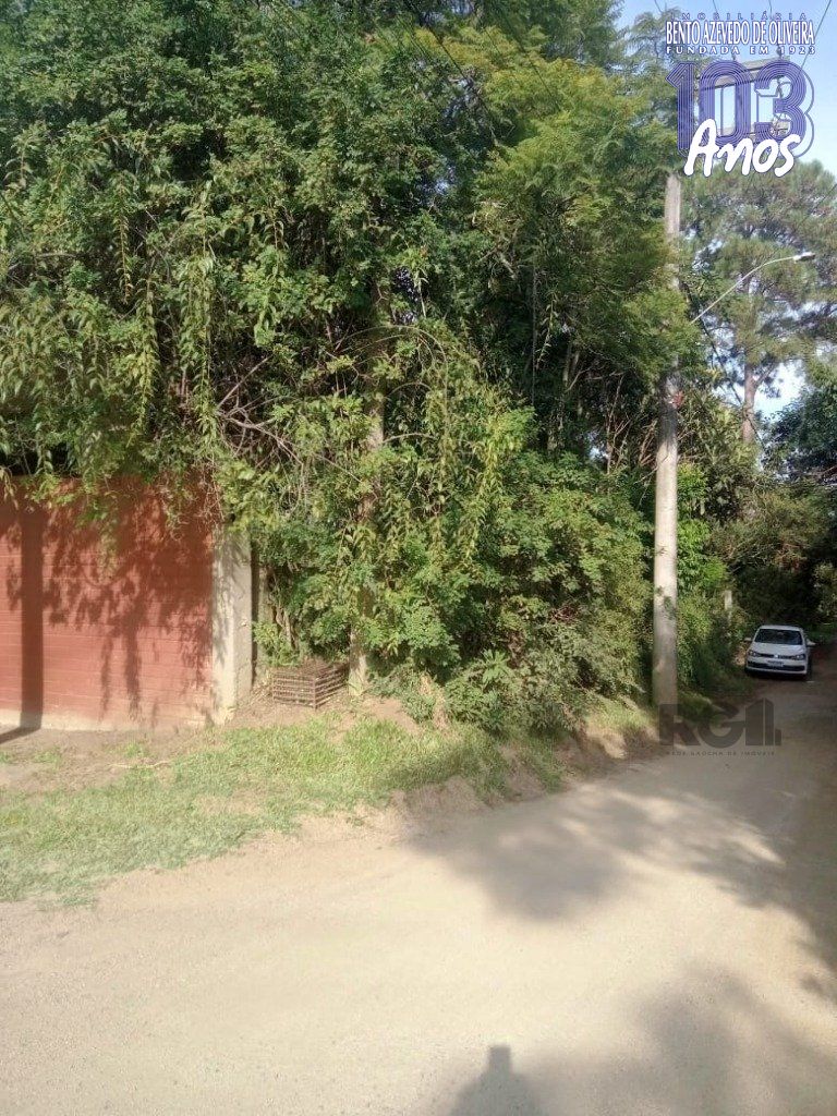 Terreno, 1 hectares - Foto 8