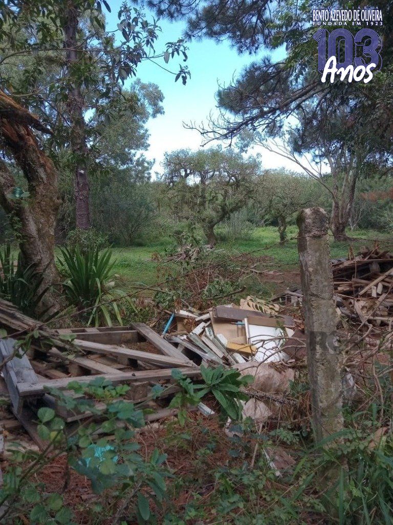 Terreno, 1 hectares - Foto 6