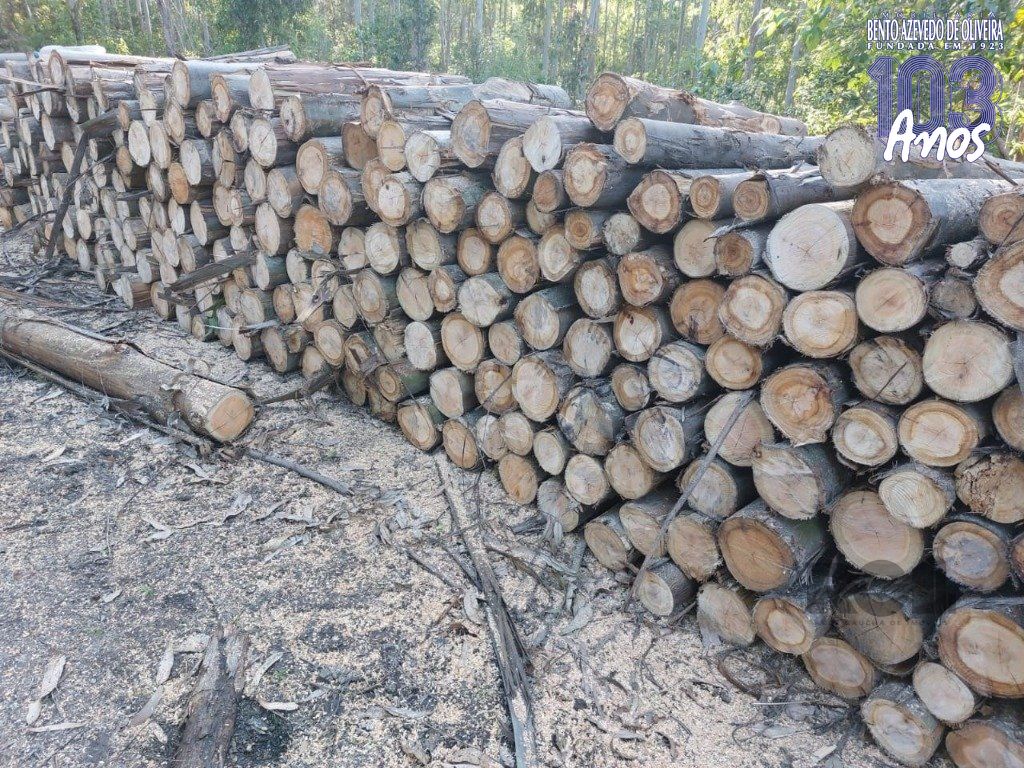 Fazenda, 42 hectares - Foto 26