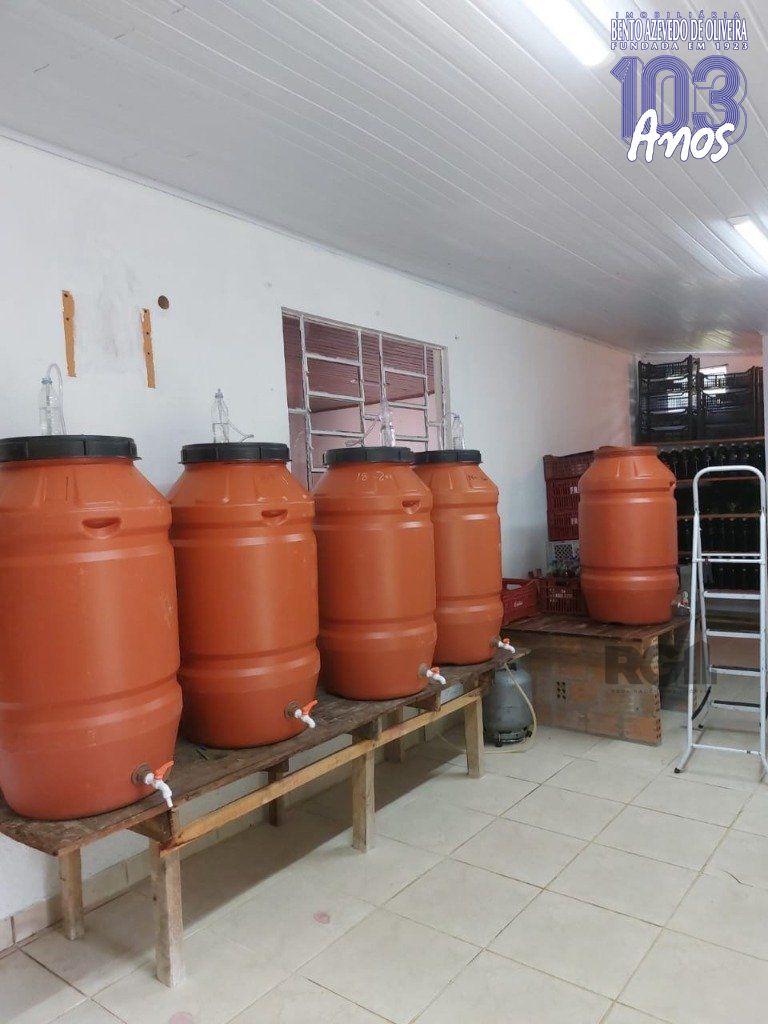 Fazenda, 42 hectares - Foto 14