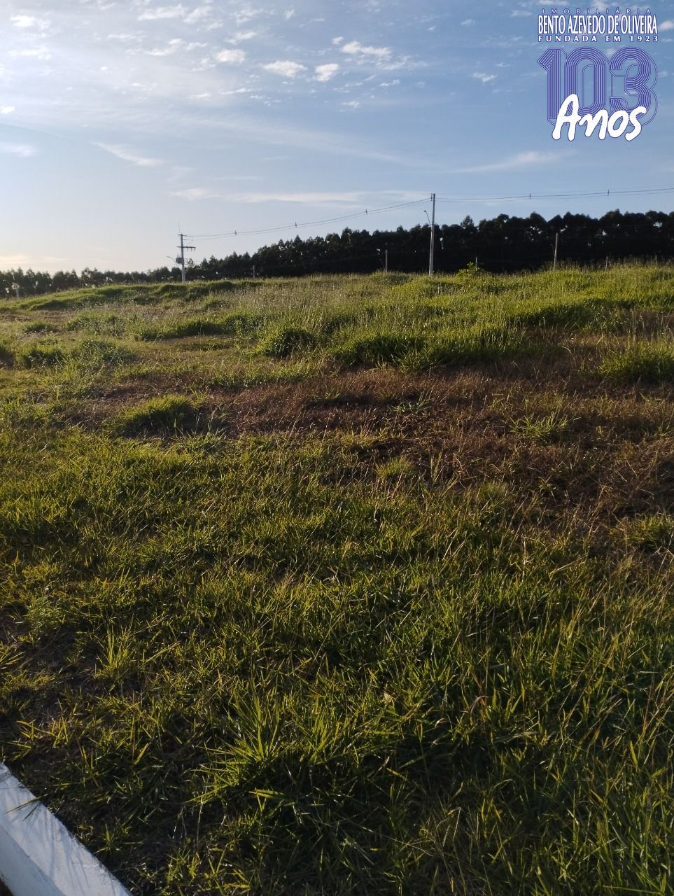 Terreno, 220 m² - Foto 5