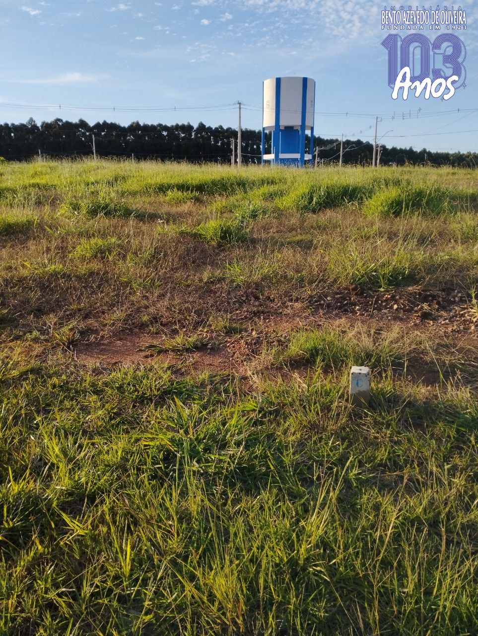 Terreno, 220 m² - Foto 6