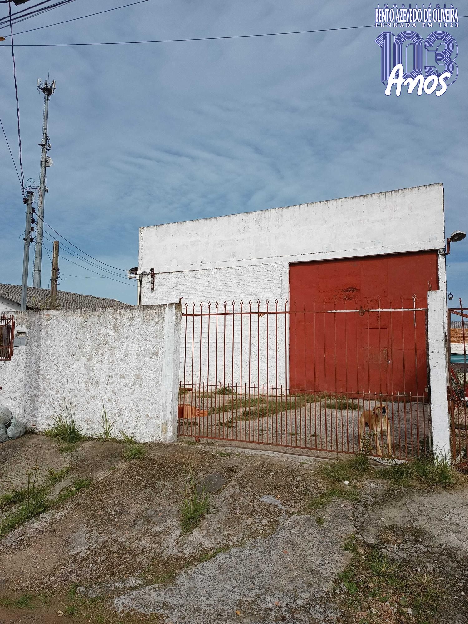 Depósito-Galpão - Foto 11