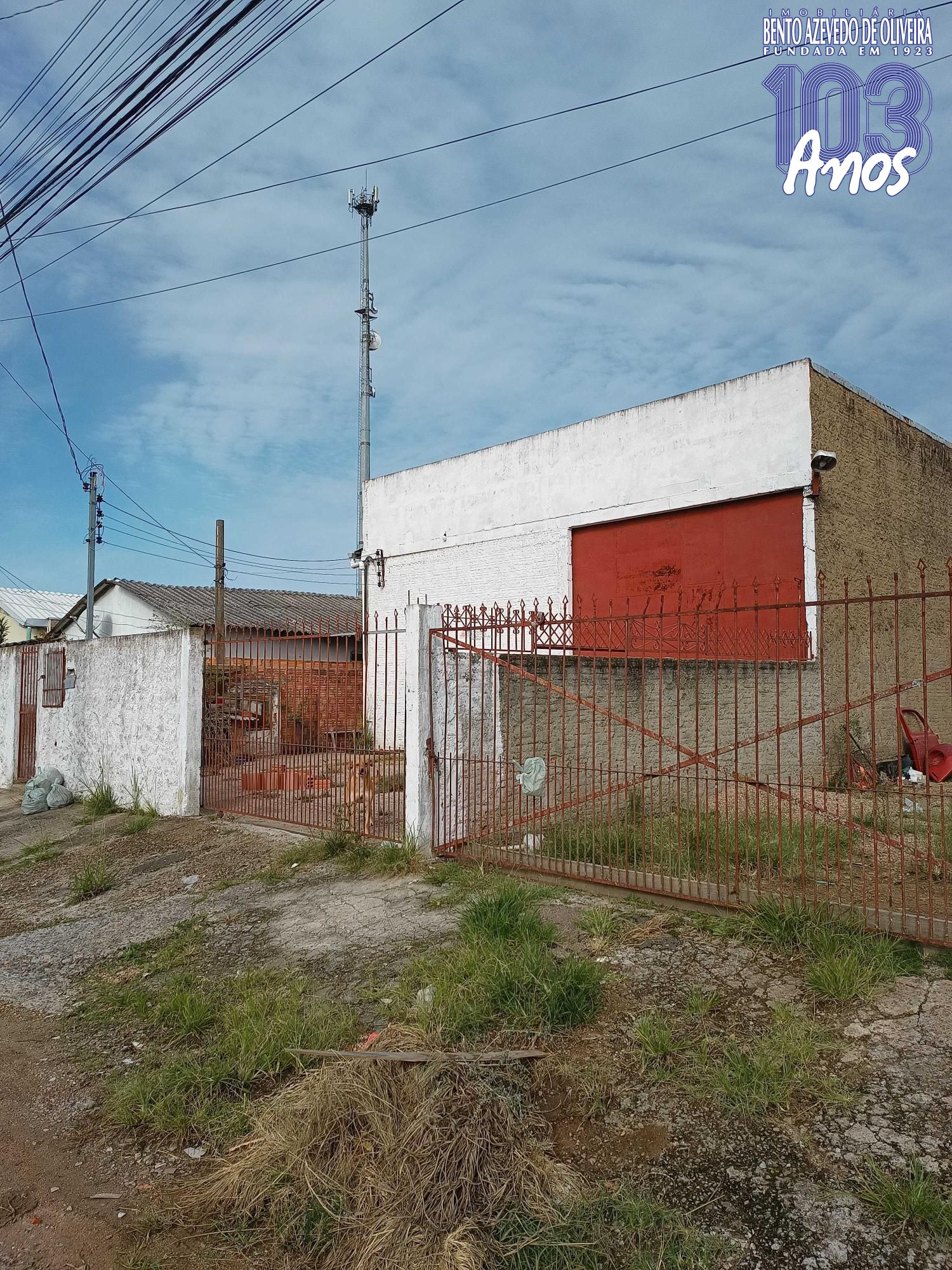 Depósito-Galpão - Foto 12
