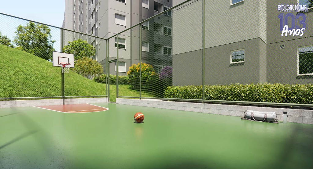 2528495.jpg
