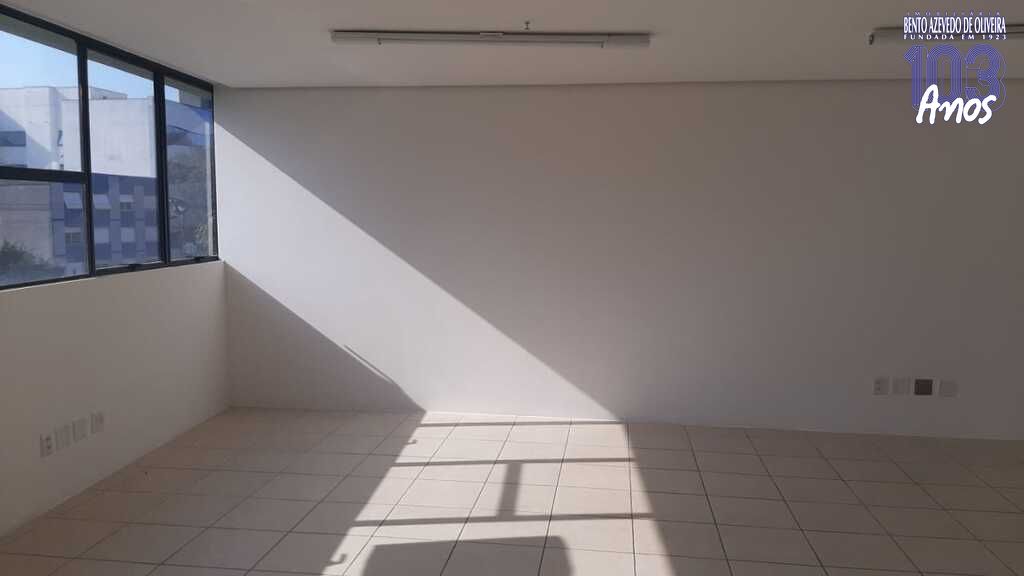891488.jpg
