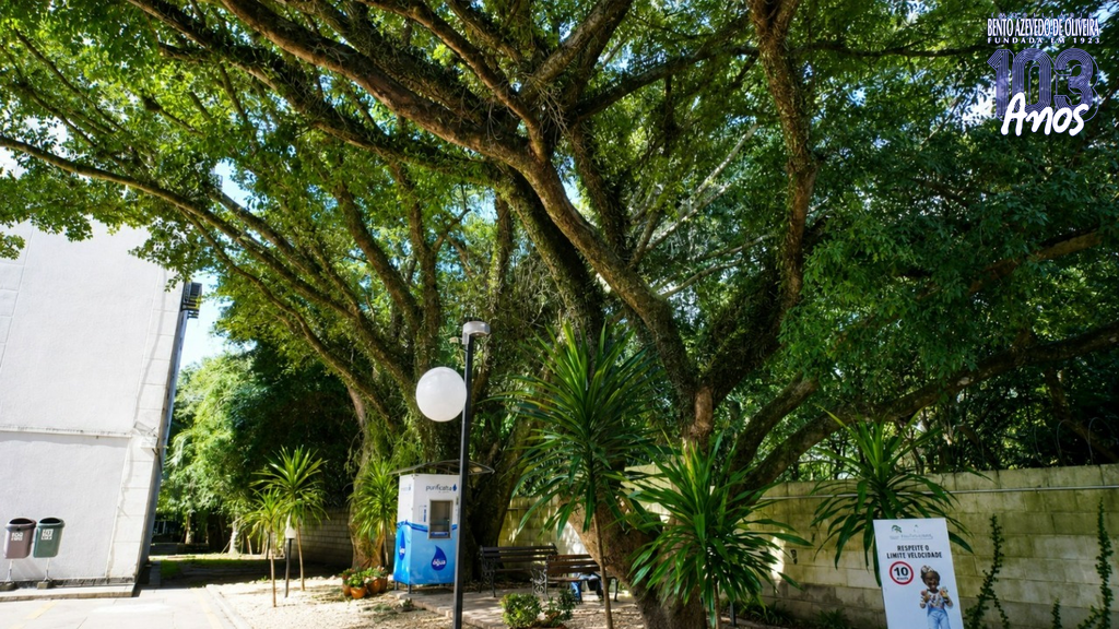 Apartamento, 2 quartos, 42 m² - Foto 9
