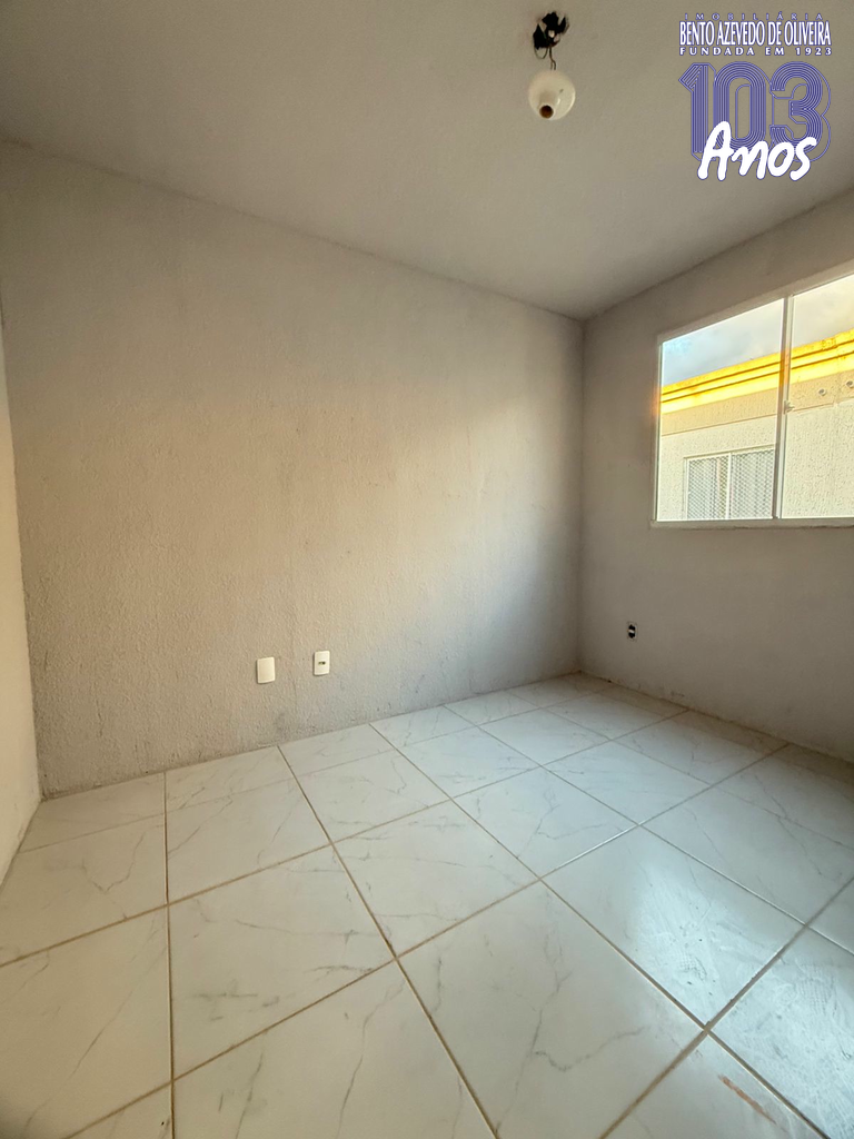2365506.jpeg