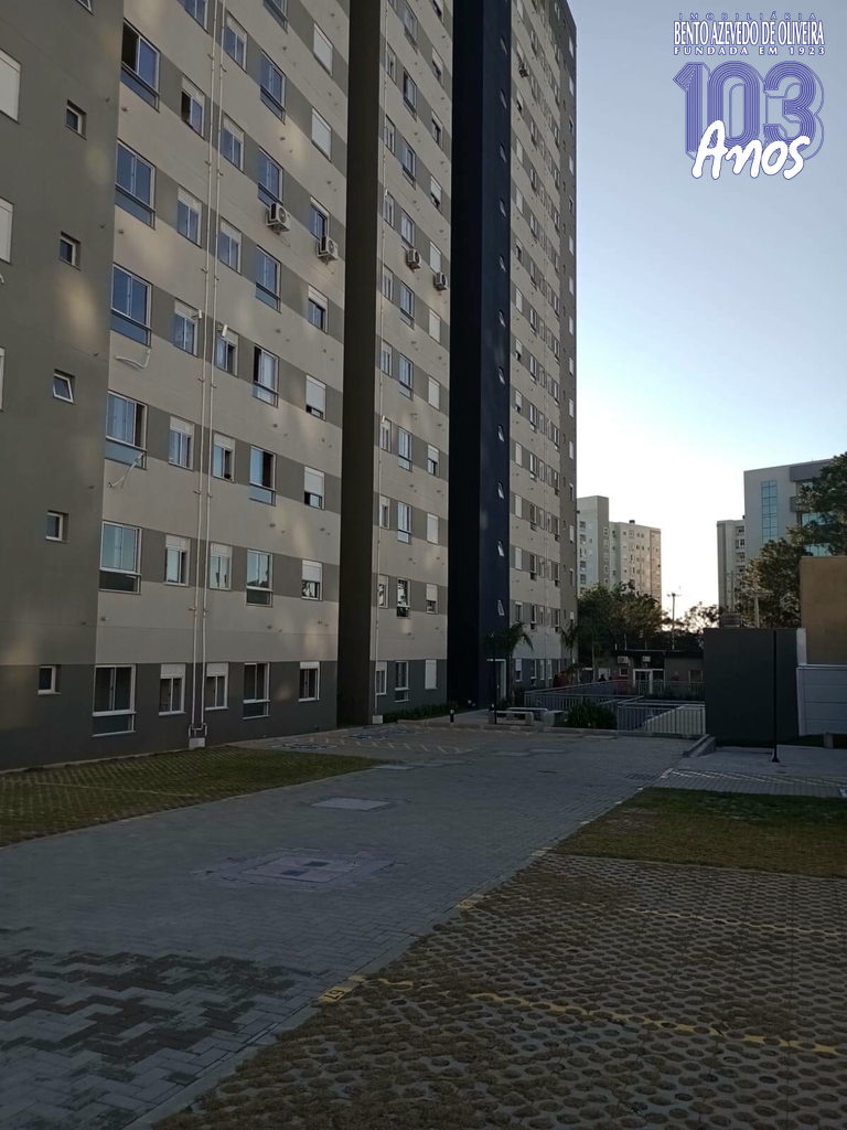 2562686.jpeg