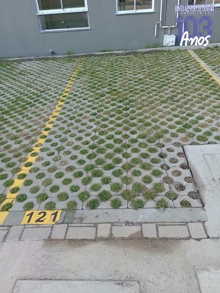 2562689.jpeg