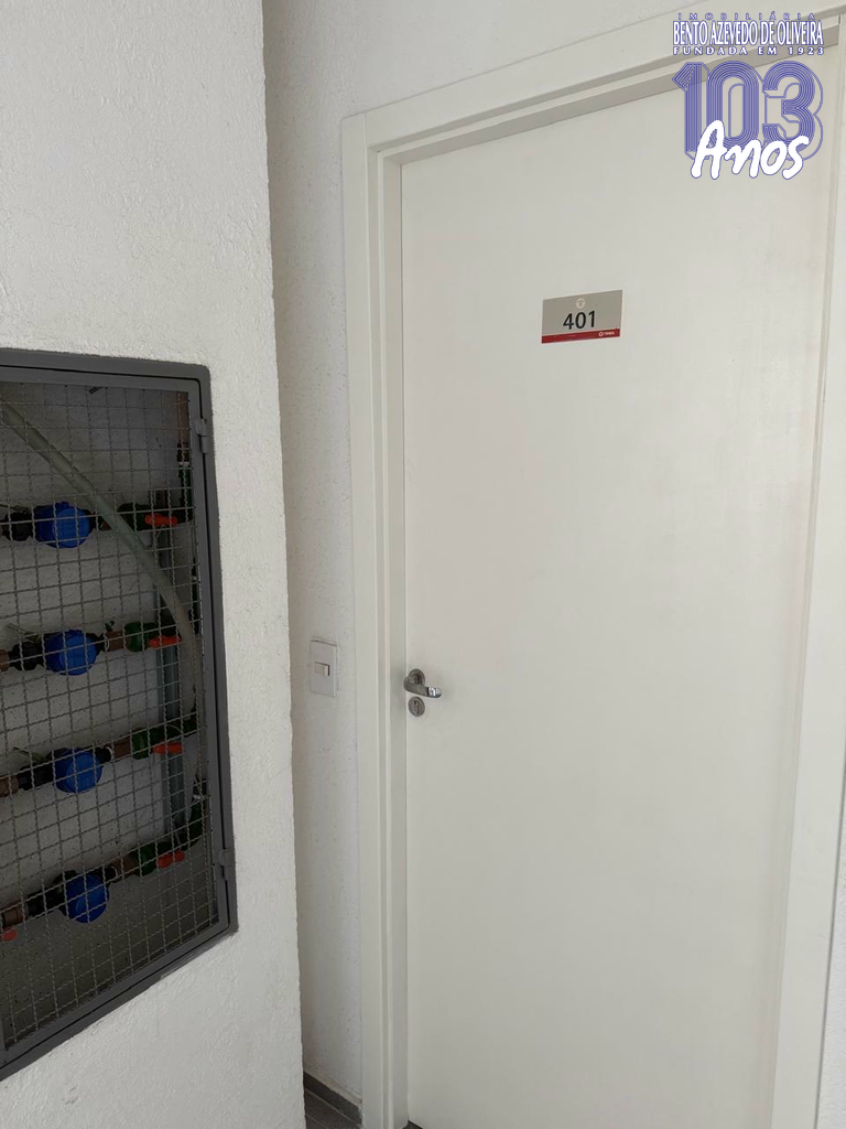 2444963.jpeg