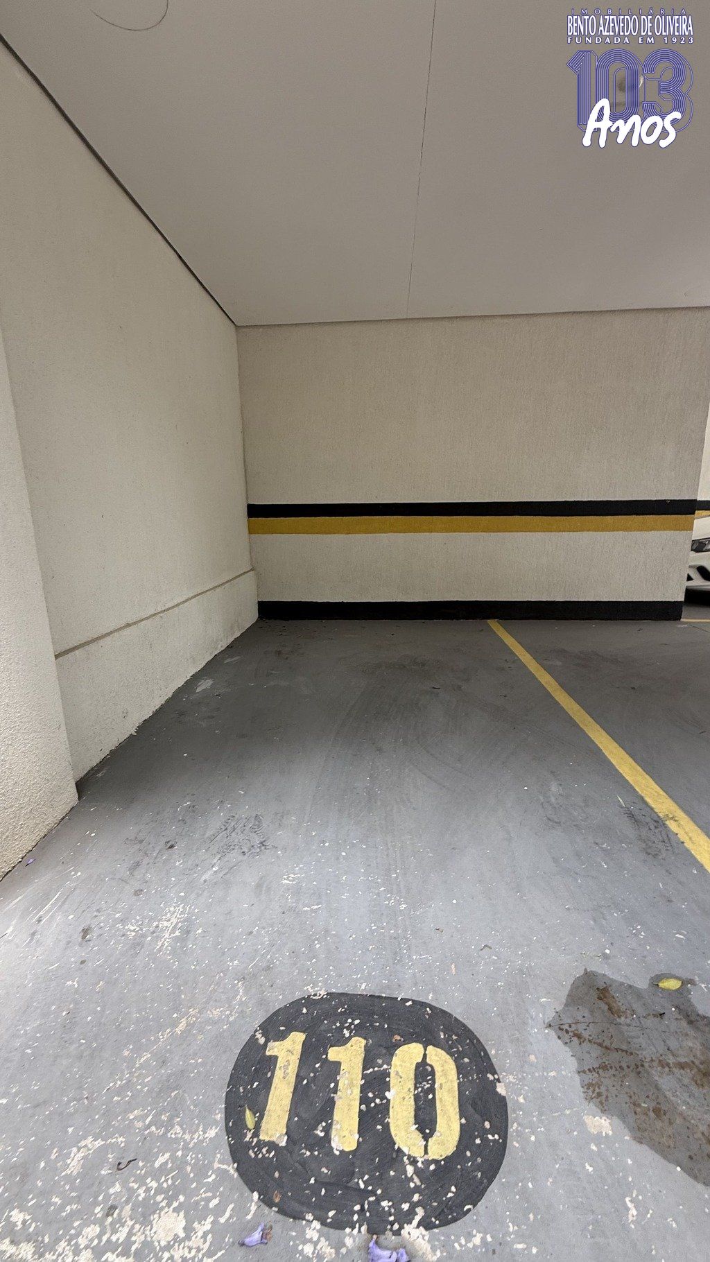 2038692.jpg