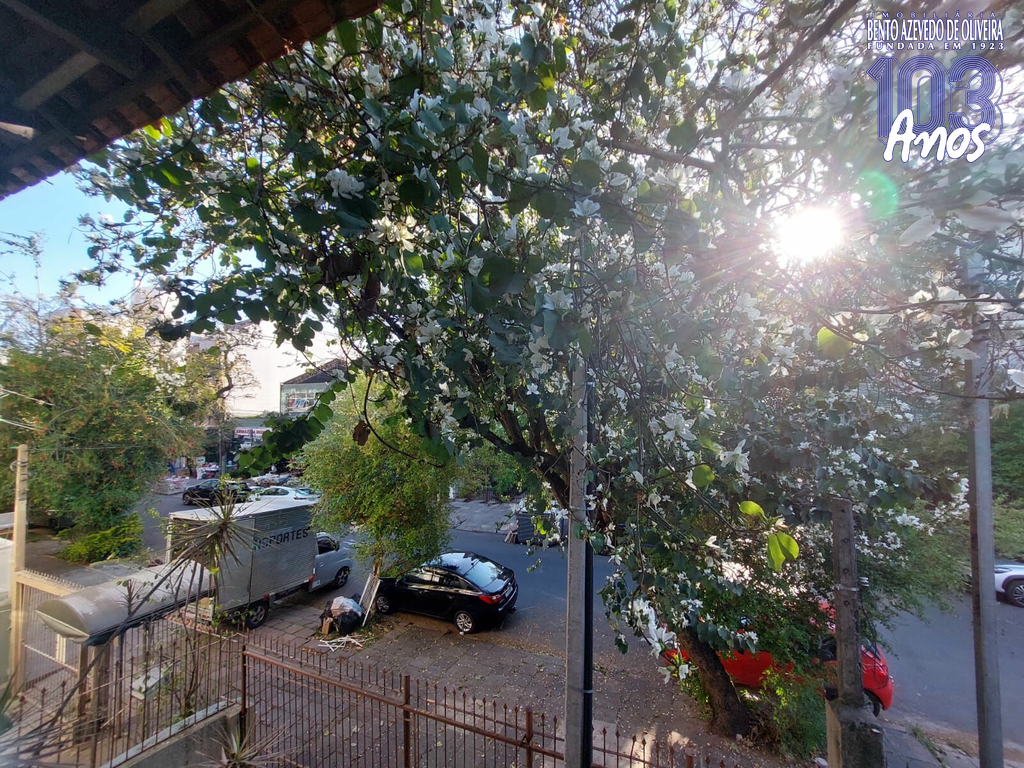 Casa, 5 quartos, 176 m² - Foto 48