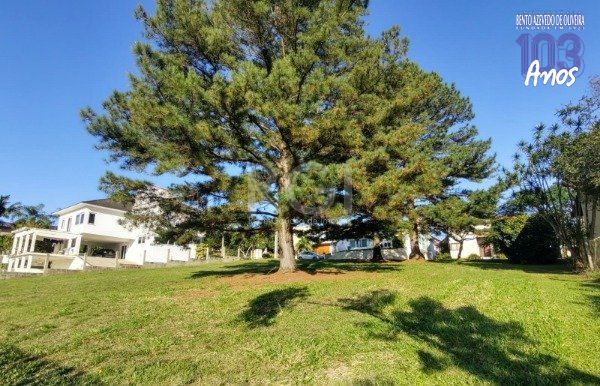 Terreno, 720 m² - Foto 6