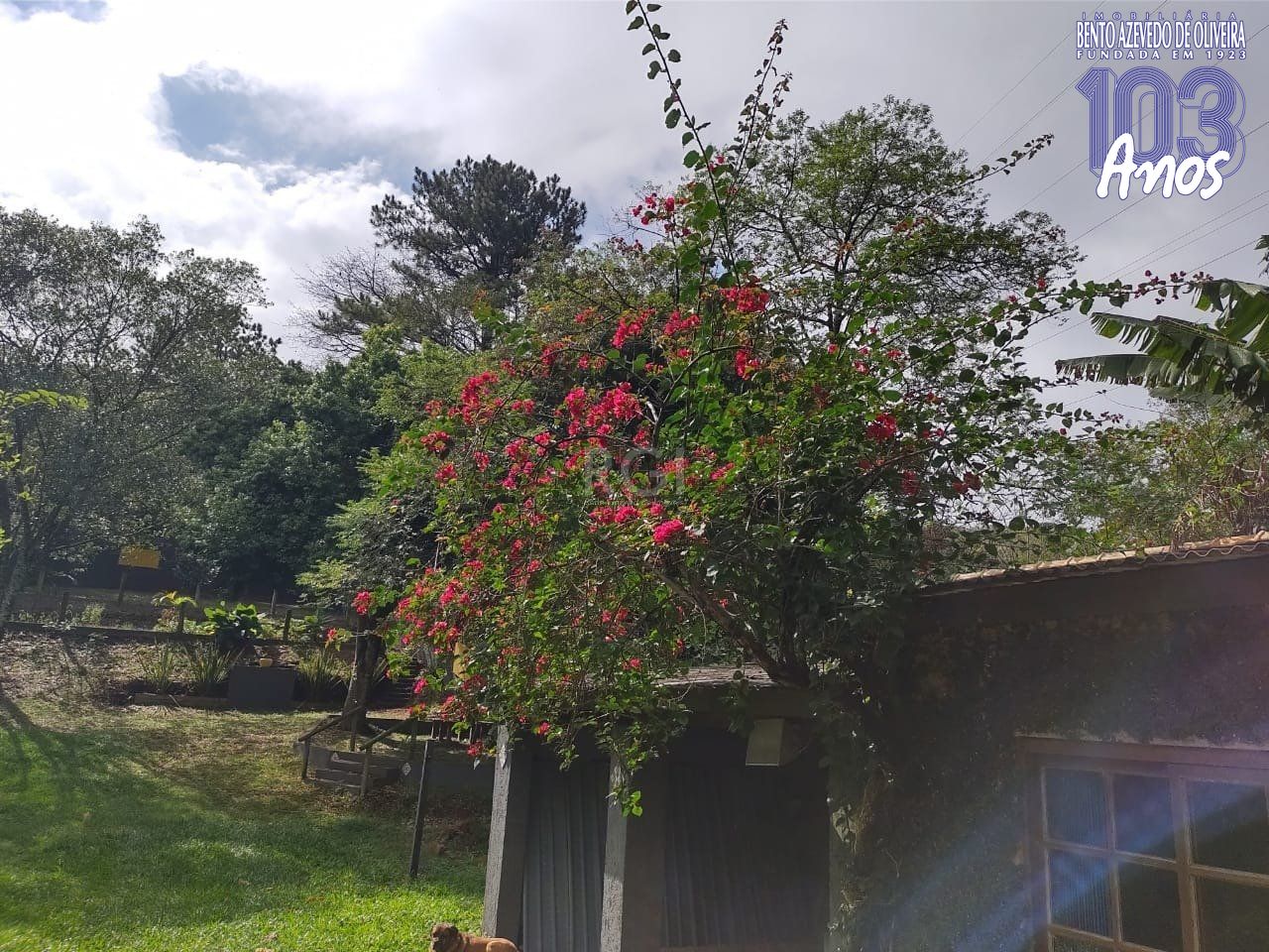 Terreno, 1 m² - Foto 12