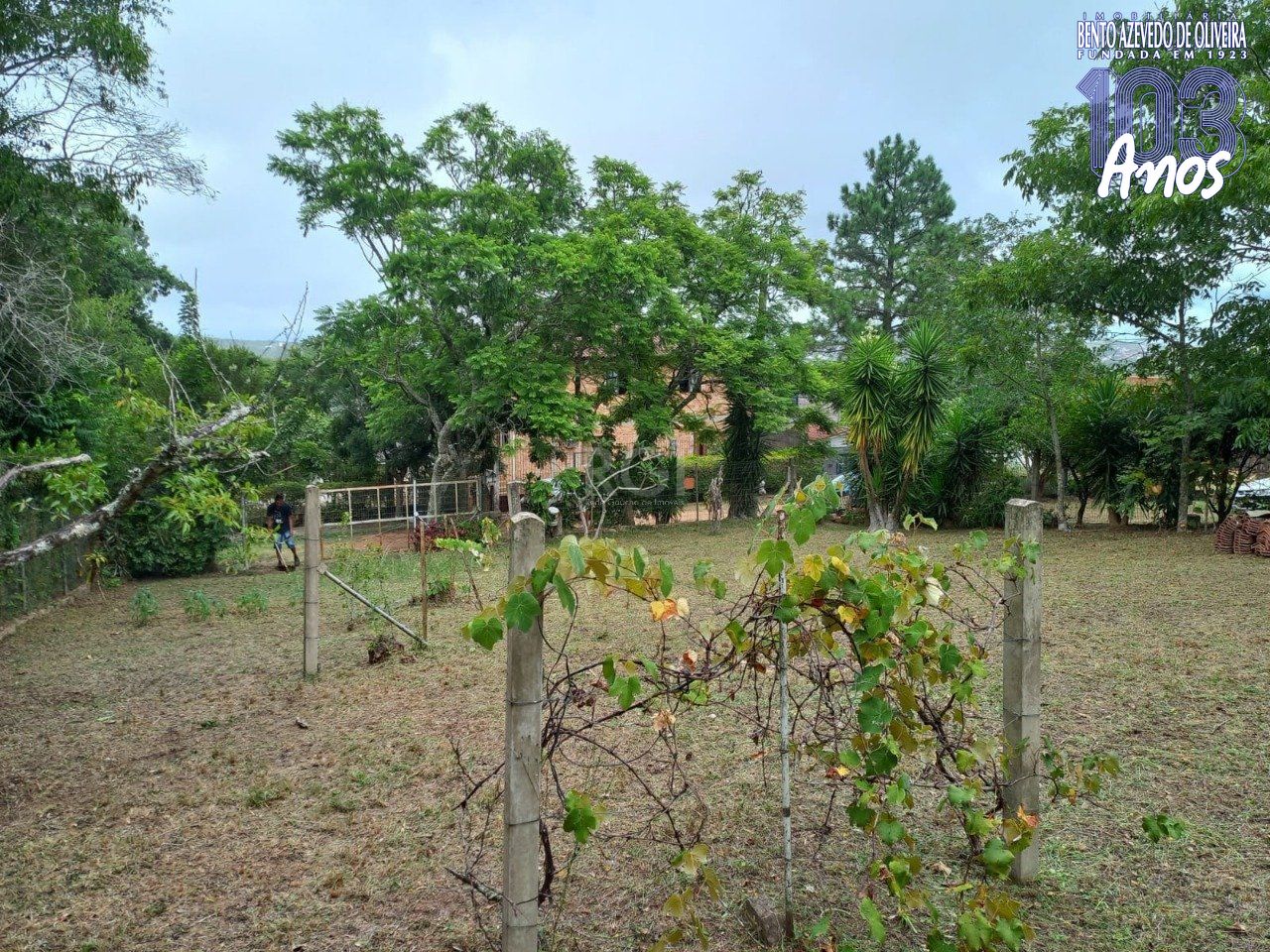 Terreno, 549 m² - Foto 8