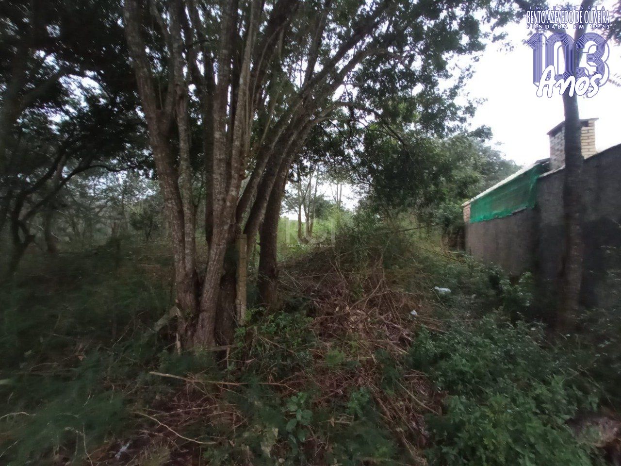 Terreno, 2160 m² - Foto 2