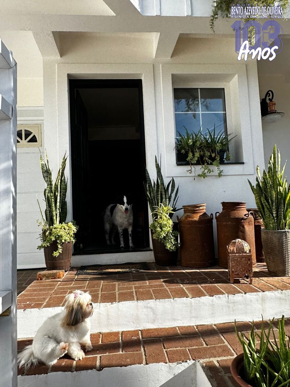 Casa, 3 quartos, 241 m² - Foto 15