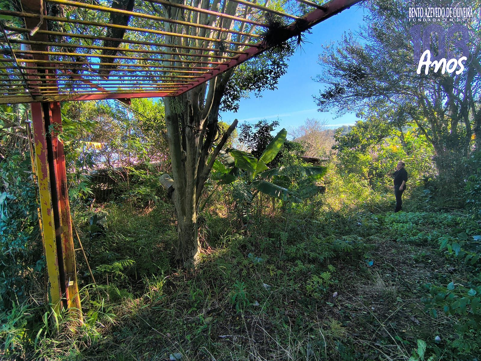 Terreno, 700 m² - Foto 4