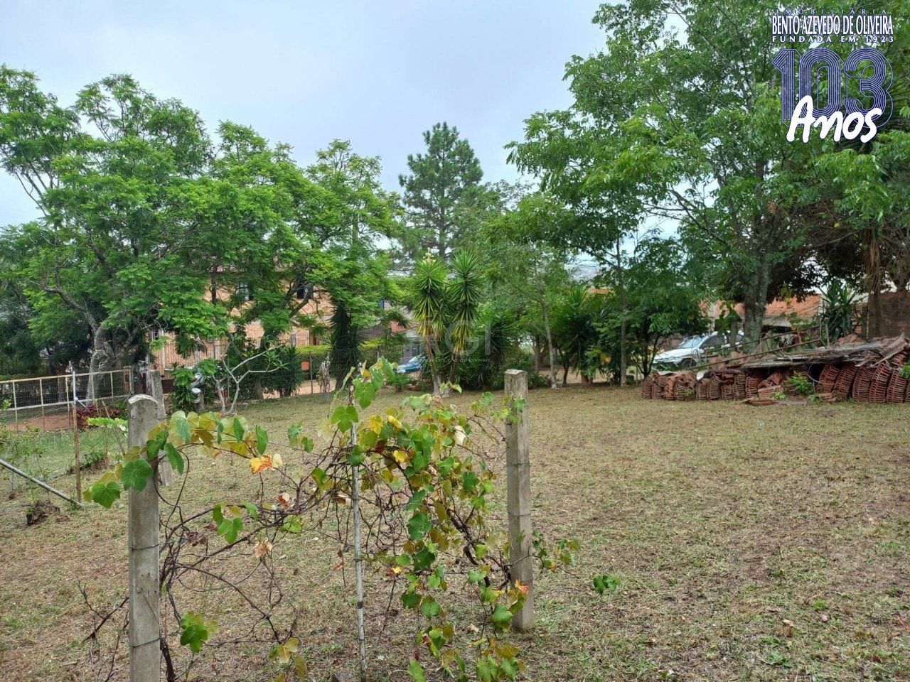 Terreno, 549 m² - Foto 7