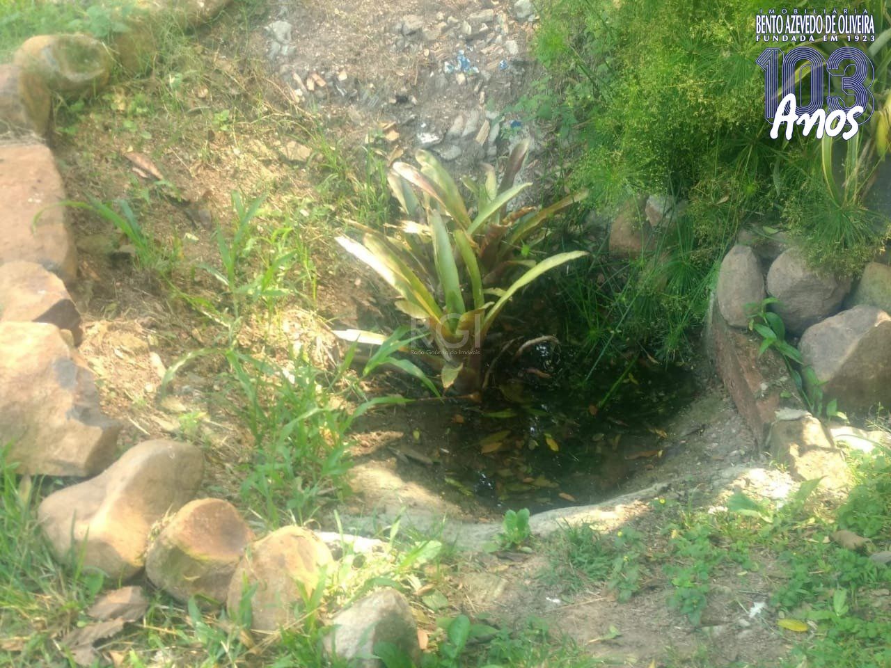 Terreno, 1 m² - Foto 5
