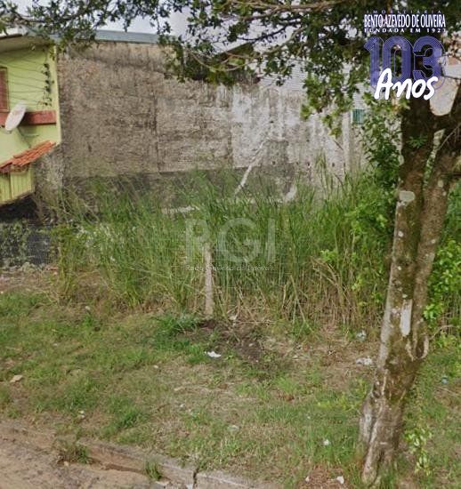 Terreno, 14 hectares - Foto 3