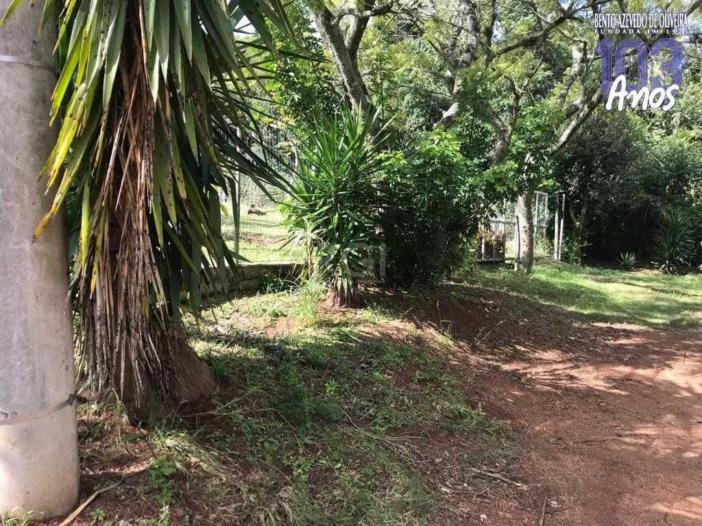 Terreno, 549 m² - Foto 15