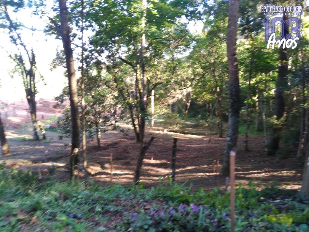 Terreno, 3800 m² - Foto 1