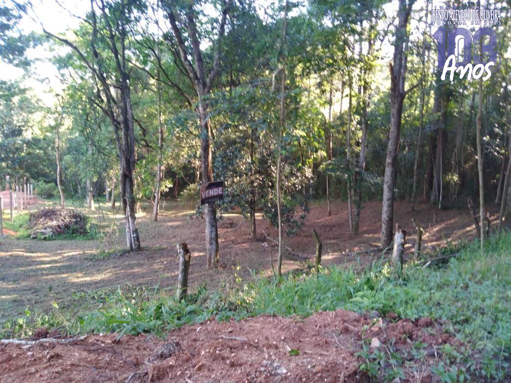 Terreno, 3800 m² - Foto 3