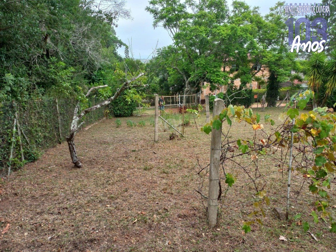Terreno, 549 m² - Foto 9